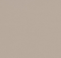 Линолеум Forbo Sarlon Colour 19dB 863T4319 beige grey uni фото 1 | FLOORDEALER